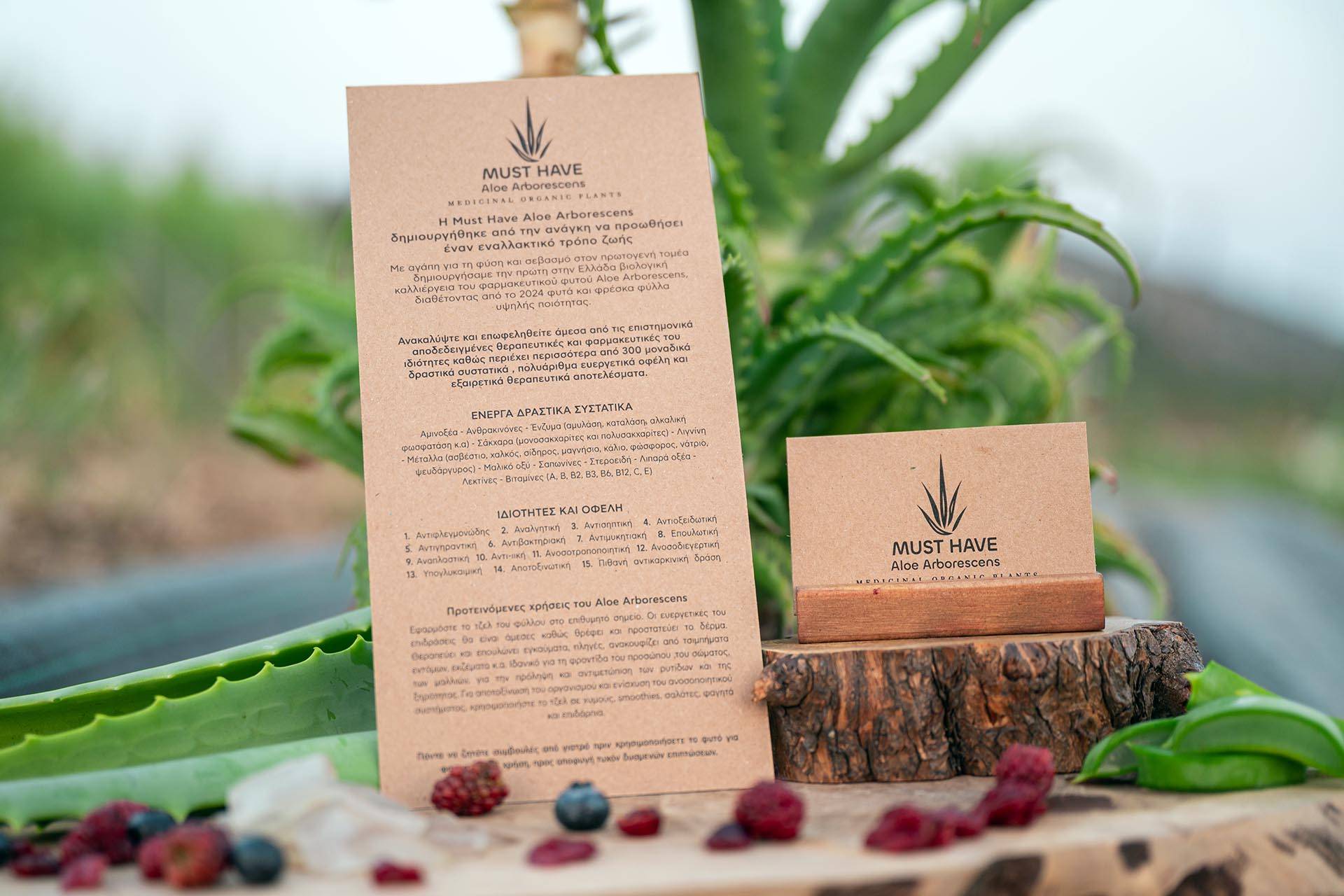 must-have-aloe-arborescens-farmakeftika-fita